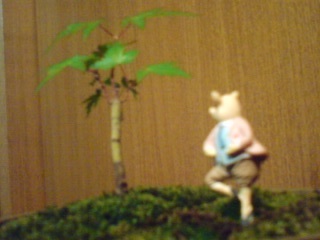 100514_1804~01.jpg