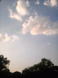 SH3F0283.jpg